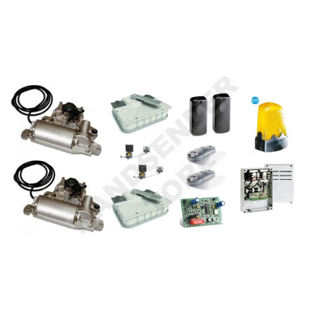 Motor-set CAME FROG J