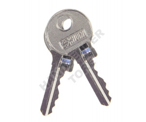 Schlüssel entsperren GIBIDI PASS A90379P