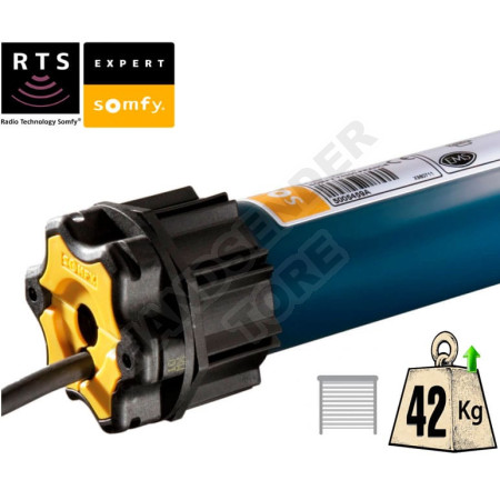 Motor SOMFY Oximo RTS 20/17