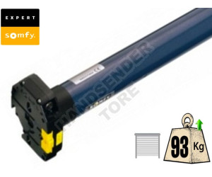 Motor SOMFY ORION S CSI 55/17